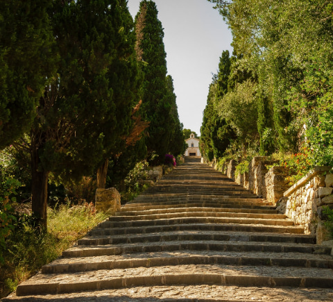 Image from the bottom of the Calvary stairs