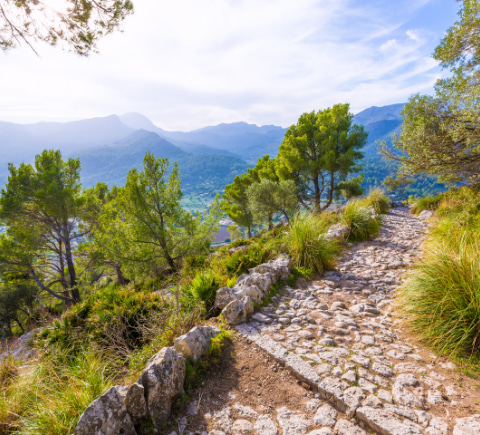 Panoramic view from Puig de Maria